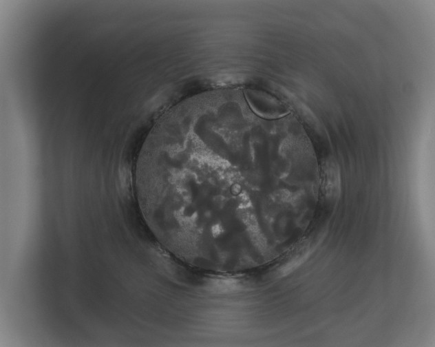 X0000113080523200909041131