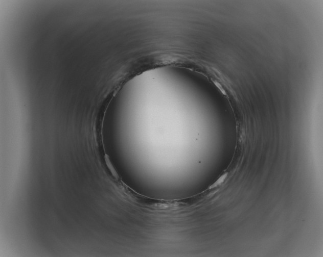 X0000113080524200909041131