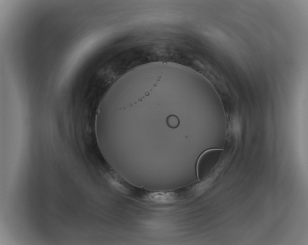 X0000113080526200909041131