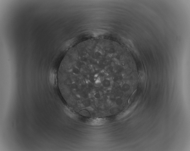 X0000113080527200909041131