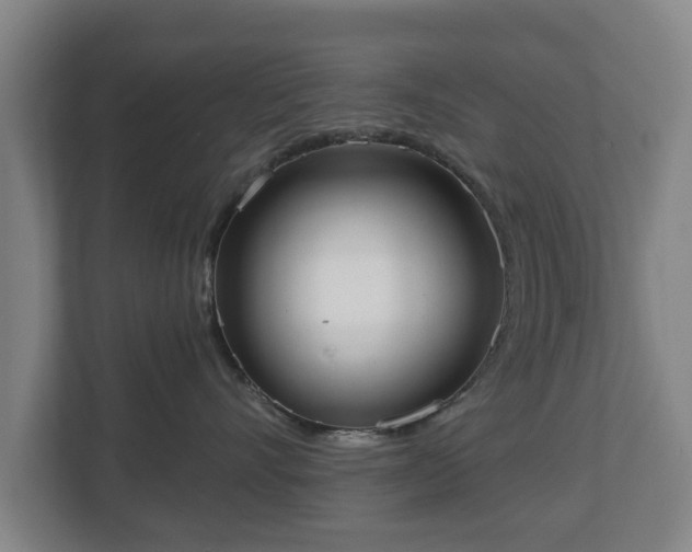 X0000113080528200909041131