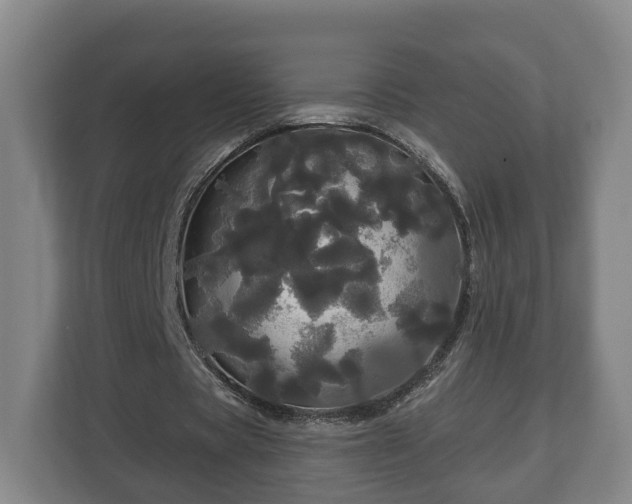 X0000113080529200909041131