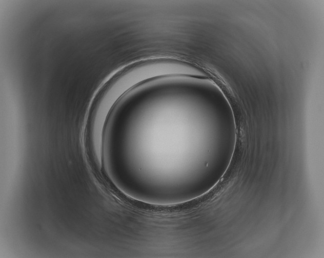 X0000113080532200909041131