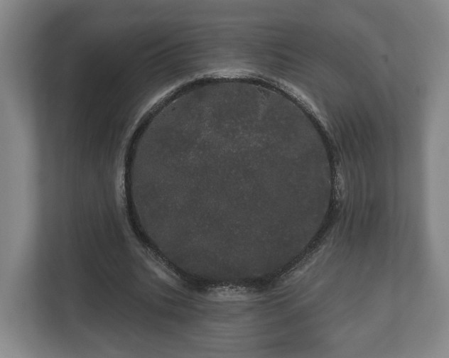 X0000113080535200909041131