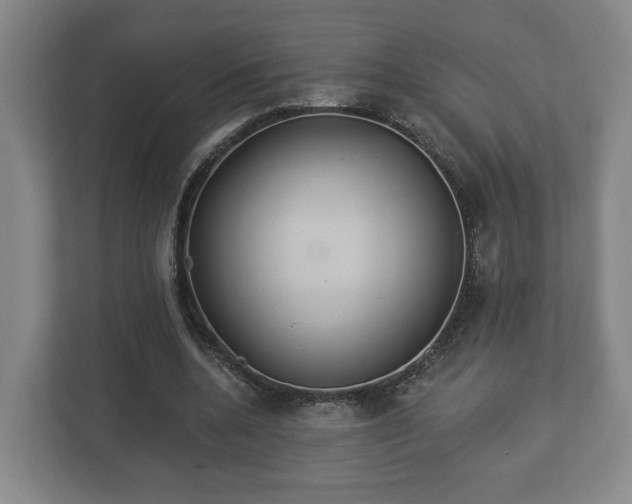 X0000113080536200909041131