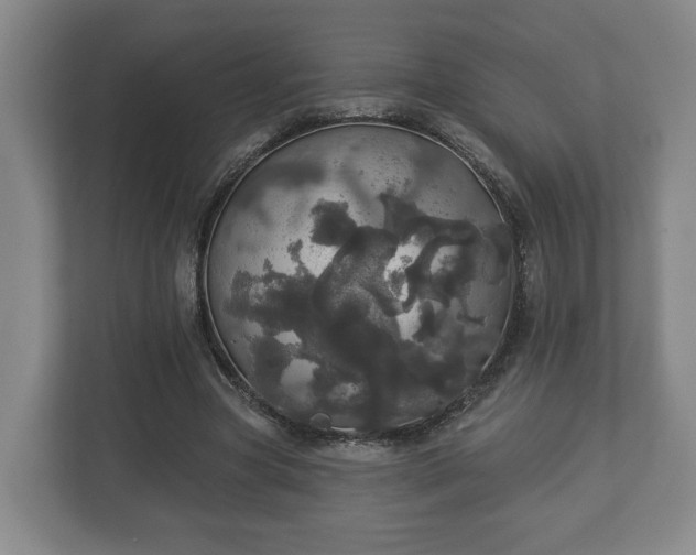 X0000113080537200909041131