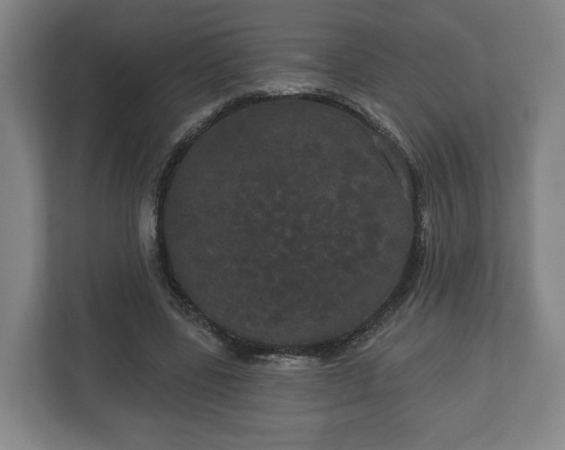 X0000113080539200909041131