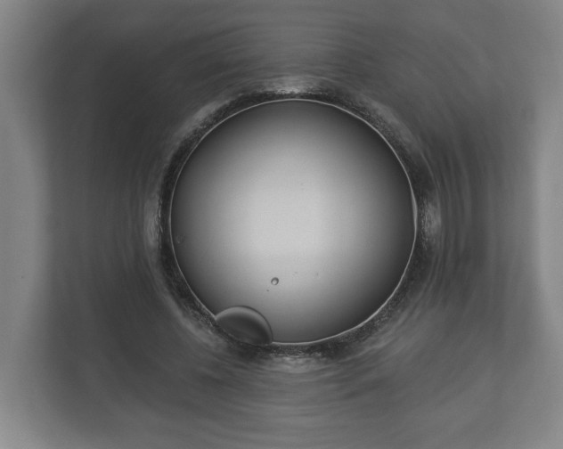 X0000113080540200909041131