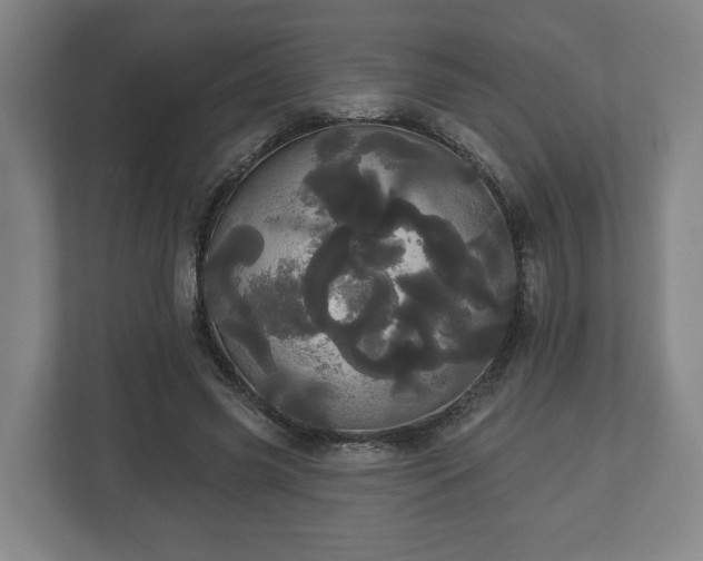 X0000113080541200909041131