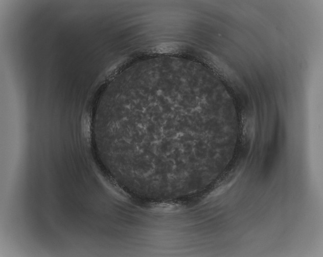 X0000113080542200909041131