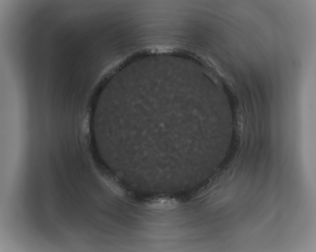 X0000113080543200909041131