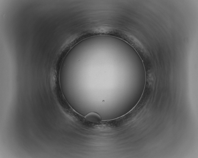 X0000113080544200909041131