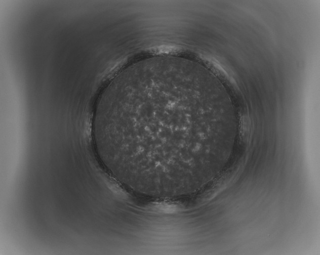 X0000113080545200909041131