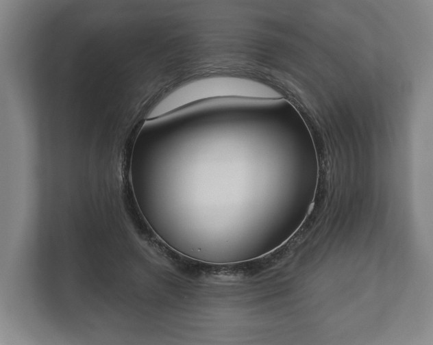 X0000113080546200909041131