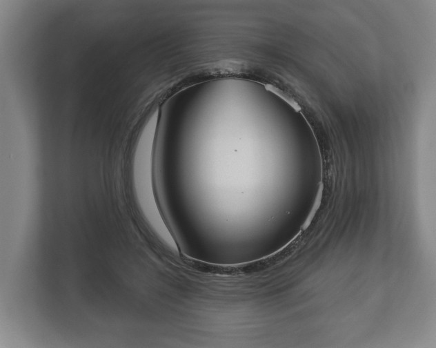 X0000113080548200909041131