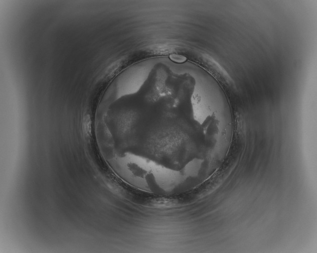 X0000113080549200909041131