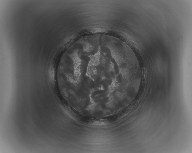 X0000113080550200909041131