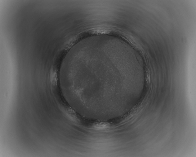 X0000113080551200909041131