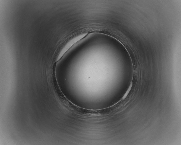 X0000113080552200909041131