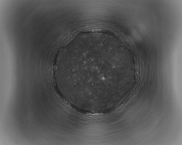 X0000113080553200909041131