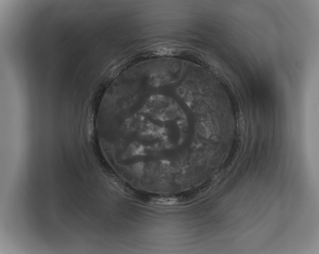 X0000113080554200909041131