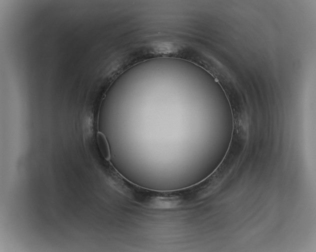 X0000113080556200909041131