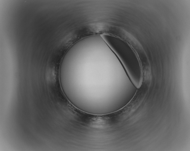 X0000113080558200909041131