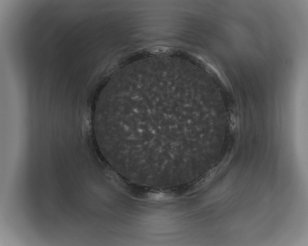 X0000113080561200909041131