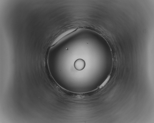 X0000113080562200909041131