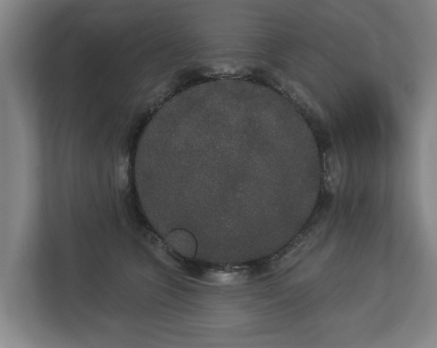 X0000113080563200909041131