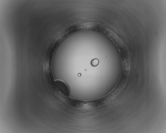 X0000113080564200909041131