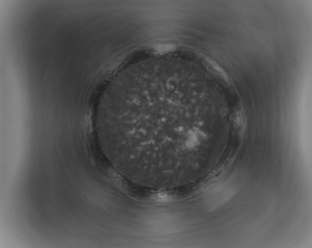 X0000113080565200909041131