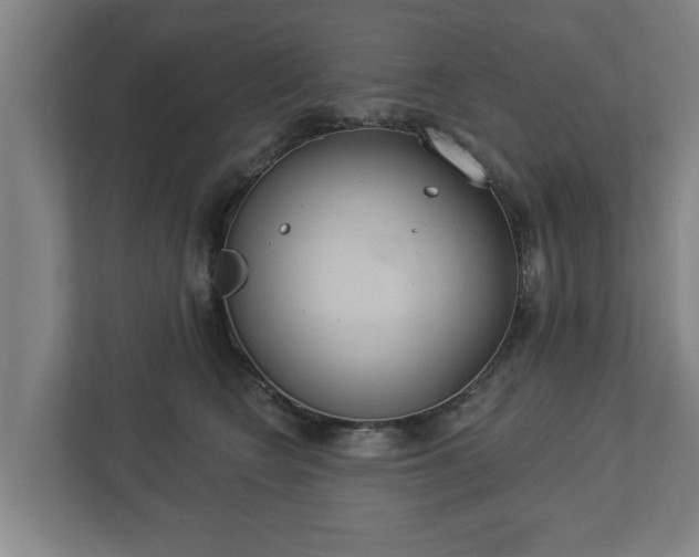 X0000113080566200909041131