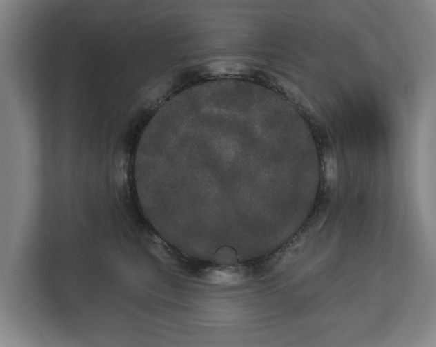 X0000113080567200909041131