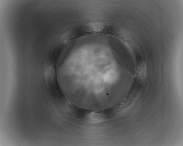 X0000113080568200909041131