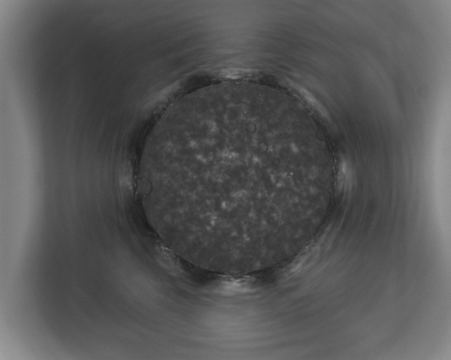 X0000113080569200909041131