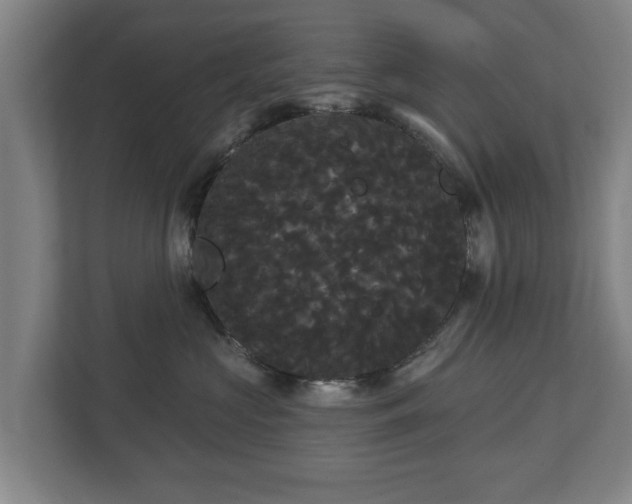 X0000113080573200909041131