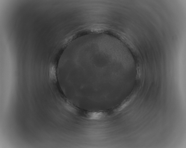 X0000113080575200909041131