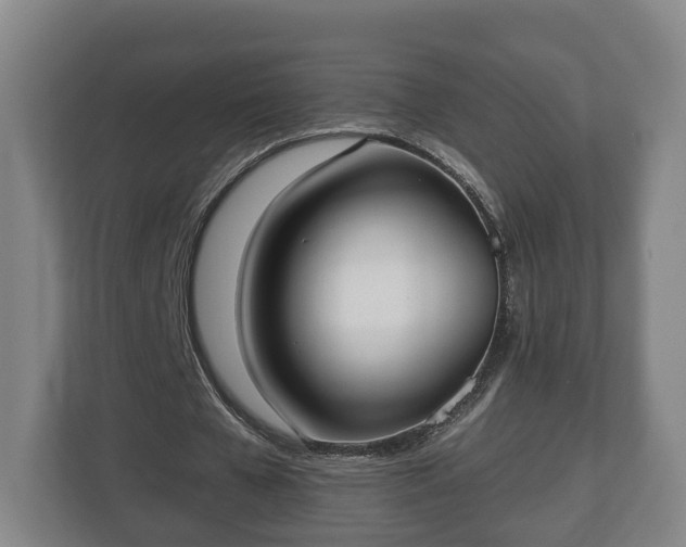 X0000113080577200909041131