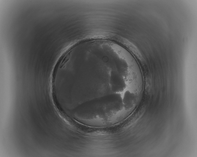 X0000113080578200909041131