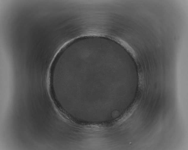 X0000113080580200909041131