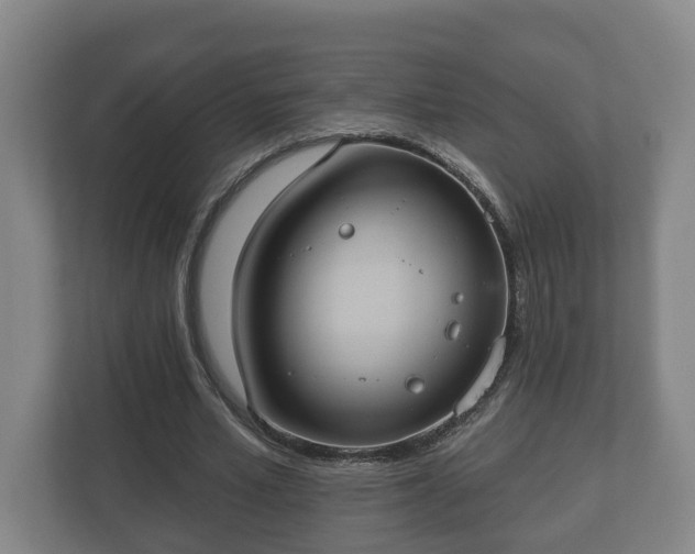 X0000113080581200909041130