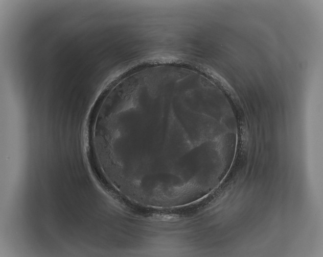 X0000113080582200909041130