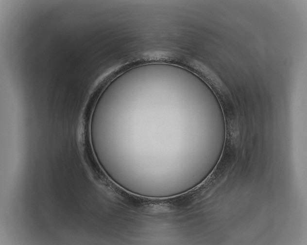 X0000113080583200909041130