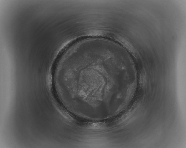 X0000113080584200909041130