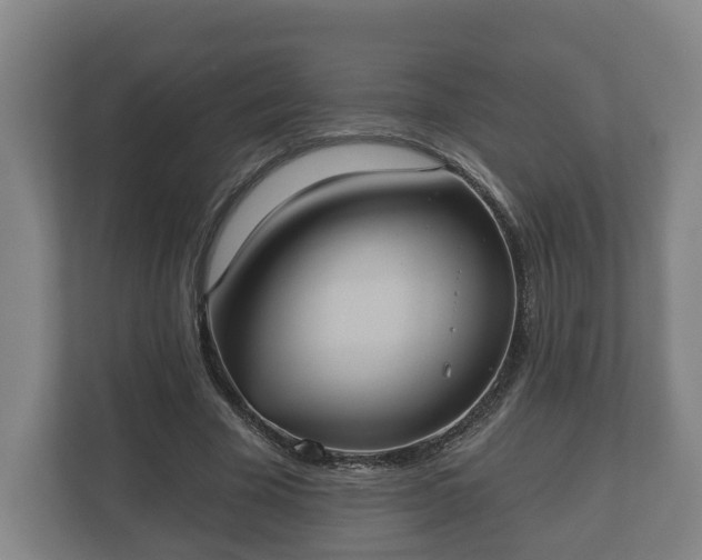 X0000113080585200909041130