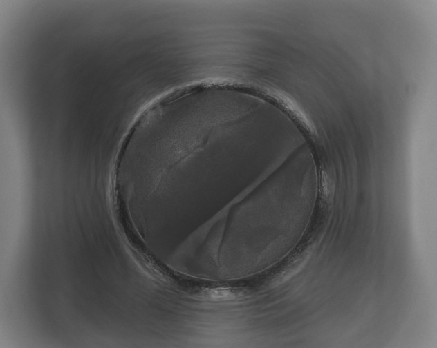 X0000113080588200909041130