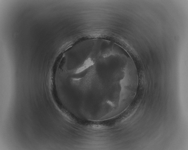 X0000113080590200909041130