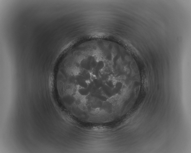 X0000113080591200909041130