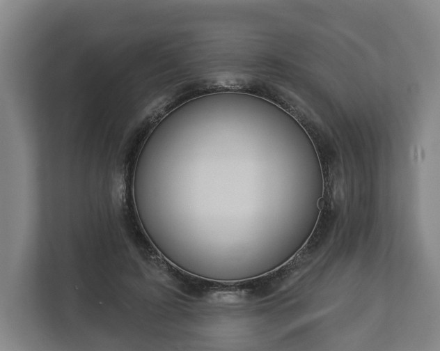 X0000113080595200909041130